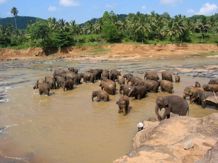 Srí Lanka körutazás Royal Island