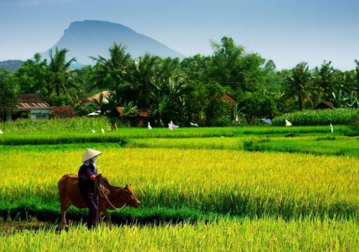 Dél-Vietnam és Kambodzsa felfedezése Thaiföldi trópusi pihenéssel