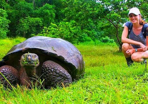 Ecuador, Amazónia és a Galápagos-szigetek